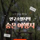 불사조 | 국내 2030 여행 커뮤니티, 불사조여행단 소개 여행후기 특징