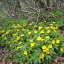 감격시대 이미지