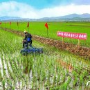 성일농장2 이미지