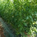 은상농장 이미지