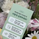 현대백화점멀티플라자주 | 변비와 다이어트까지, 현대백화점 입점 헤이컬리 멀티 식이섬유