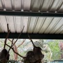 24 sydney (3)