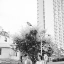 블랑쉬웍스 - 수성구 동대구로 355 | 블랑쉬웍스