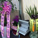 DAMA 당구장 이미지