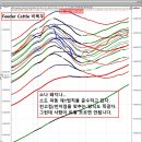 파동 이미지
