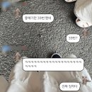 3월의 일상