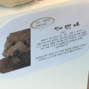 옥빛중학교 정문 옆 이미지