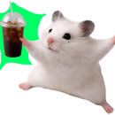 카페1010
