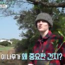 글로벌제주문화협동조합 이미지