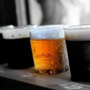 트레비어 이미지