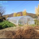 서면 신매1리 경로당 이미지
