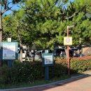 학동자동차야영장아영장 | 거제 몽돌해변 학동자동차야영장 이용 후기 l D3 사이트 캠핑장 명당 예약 꿀팁