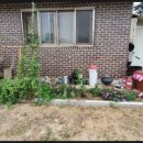 보개산로 이미지