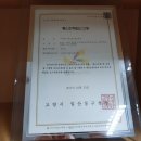 에스앤케이골프투어