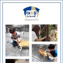 이리온 2 Daum카페