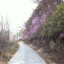 길목농장 이미지