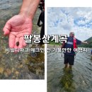 팔봉산관광지 야영장 | 팔봉산계곡, 홍천 비발디파크 근처 가볼만한 곳 여행