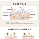 토탈구조 이미지
