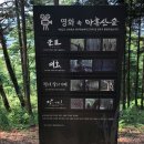 7월.8월 부산회동유원지갈맷길+대나무숲아홉산숲 이미지