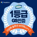 브이지에스 이미지