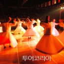 루미 이미지