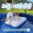 더슈나애견펜션 | 대천 반려견동반 독채숙소 추천｜오월 애견펜션, 내돈내산 솔직후기