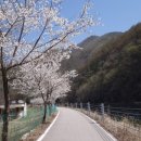 경춘선 자전거도로9 이미지