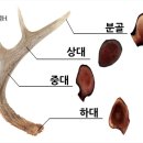 원용목장 이미지