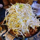 호호불똥 이미지