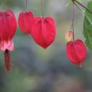 철마농장 이미지