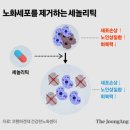 ﻿女 19세, 男 40세부터 늙는다…AI가 찾아낸 ‘현대판 불로초’ 이미지