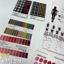 논현초등학교 | 강남 퍼스널 컬러 가을웜톤 진단 픽컬러브랜딩센터 강남 후기