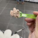 301젤라또아이스크림 이미지