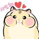 제주인하우스펜션 이미지