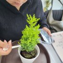 그림책 원예 활동 이미지