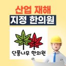 단풍나무한의원 이미지