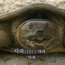 파크짐 청구점 이미지
