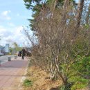 산성문화공원 공중화장실 이미지