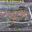 NR-30[번영로]-상-552 | 8,9월 제주도 여행 후기 (4박5일) ②