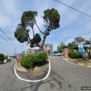 설성파출소 이미지