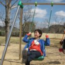 영오초등학교 이미지