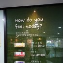 중랑구애견미용 전문가의 손길 비안코이탈리아