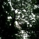 순환로 405번길 이미지