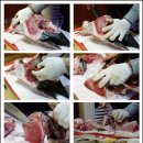 싱싱참치 이미지