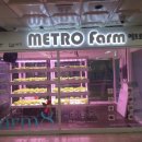 철환농장 이미지