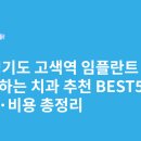 고색약국 | 경기도 고색역 임플란트 싸고 잘하는 치과 추천 BEST5 | 가격·비용 총정리