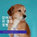 카카오N동물병원 이미지