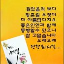 다뚜러 이미지