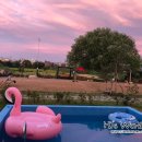 양양스타펜션 이미지