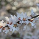 풍경운동장 이미지